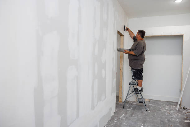 Best Basement Mold Removal  in Mount Pocono, PA